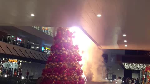 Christmas Tree Catches Fire