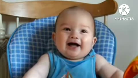 Babies Laughing Funny Video