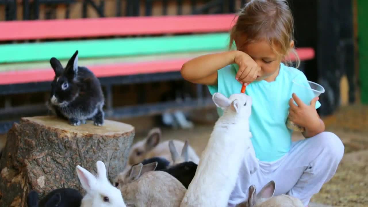 Cute child girl feeding rabbits from hands