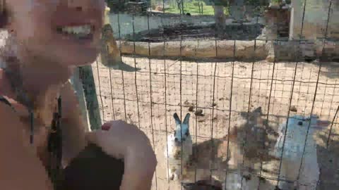 2022-07-21 (2) - anim'o parc - Twitch Triskelina