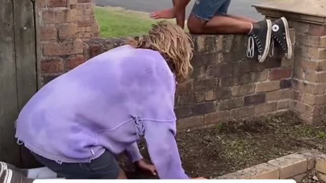 If humans acted like cats| funny crazy cats act 😃💁