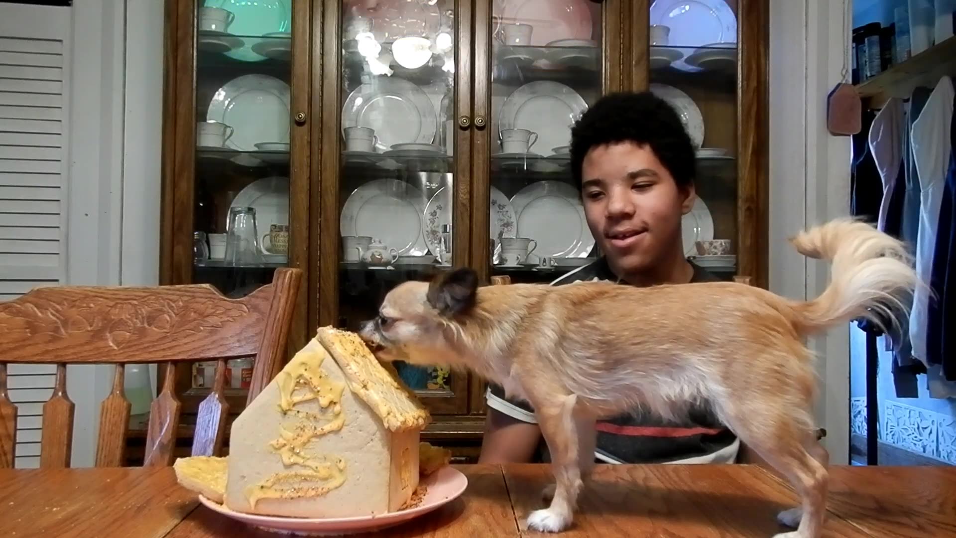 Dogs Don't Like Frosting