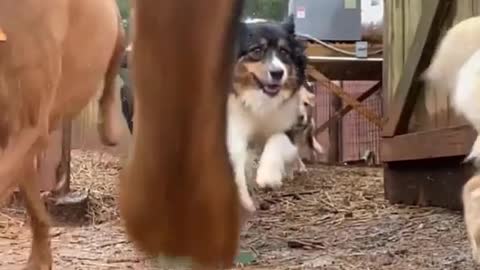 See who's fastest and the ending