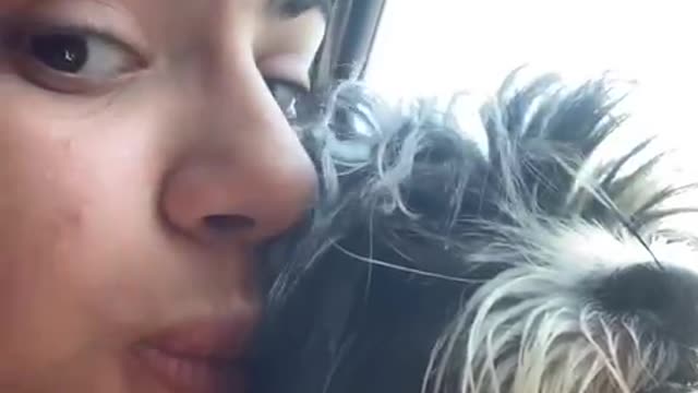 Girl kisses a dog and the reaction makes her very, very happy!!!