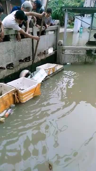 Funny Fish Catching Video #shorts amazing