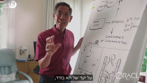 ד"ר זוכרי בקהרטי - הסבר - איך החי0ון פוגע בכלי הדם ובקרישיות