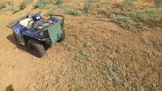 FNQ & CQ Part 11