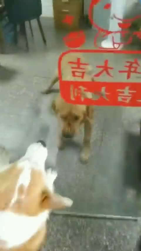 People online vs. in real life 😂