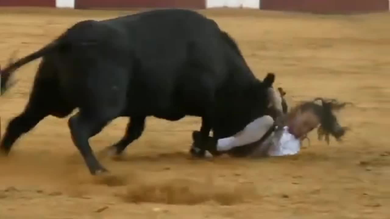 Bullfighting funny videos awesome girls bullfighting festival