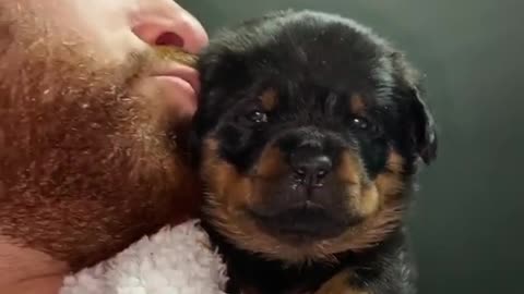 That face after the kiss 🥰😍😍😭🥰