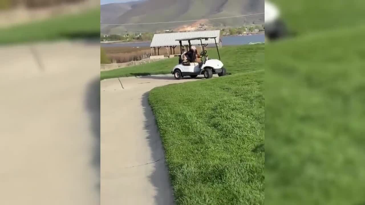 GOLF FAILS COMPILATION part 1