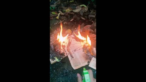 What happens when you burn a book?