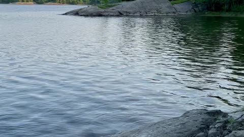 My Walleye and Bass hideaway.