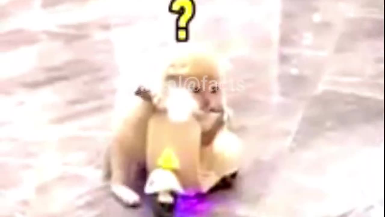 New Funny Animals 2023 😍😁 Funniest Cats and Dogs Videos 😹🐶