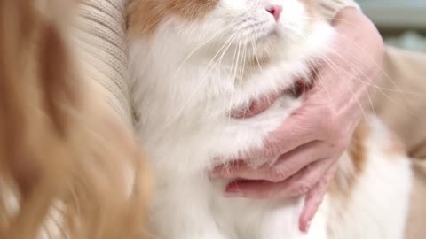 cute cat😍😻😻