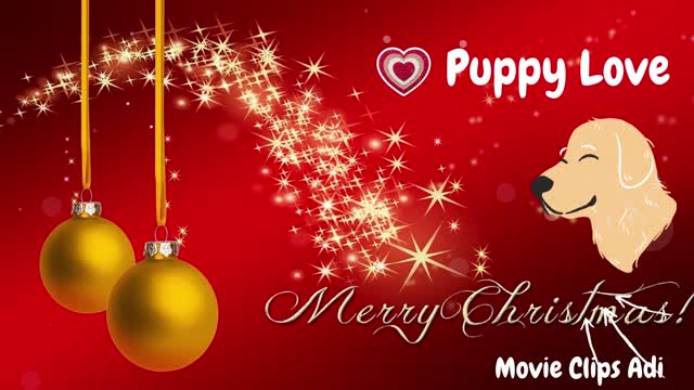 Funny Puppy video ❤️😊🥰 Marry Christmas 🎄🎄🎄🎄😊😊😍😍❤️❤️❤️