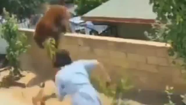 Brave woman fights Grizzly 🐻🐻Bear off