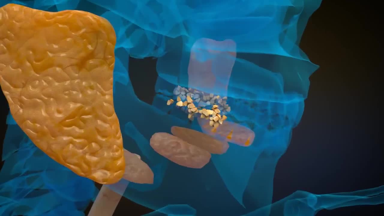 Human digestive system - How it works! (Animation)