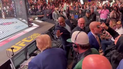 LOVE JOE AND THE BOYS!