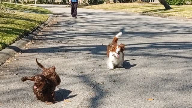 Weenie Races MAR 03, 2022