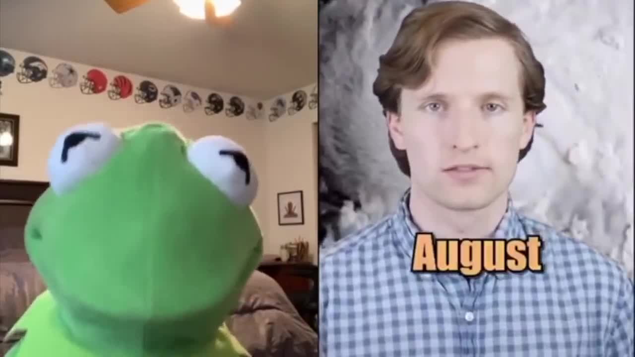 Kermit the frog on TikTok