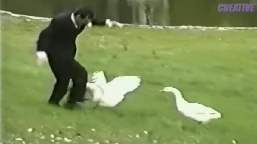 FUNNIEST WEDDING