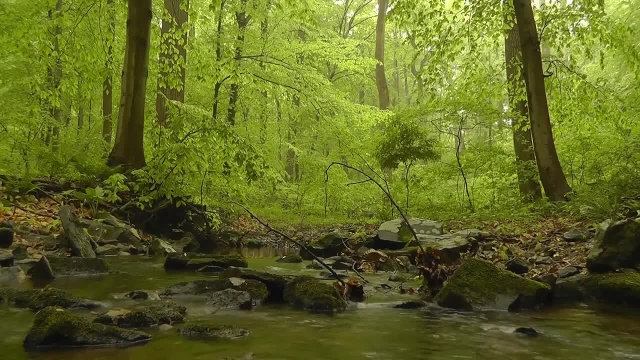 A place of peace