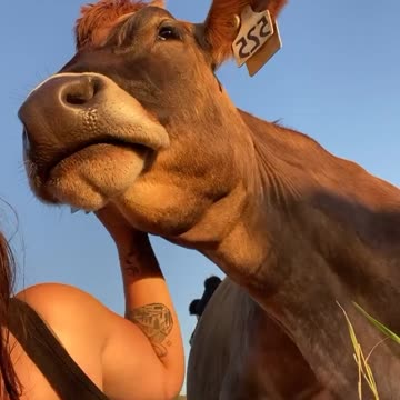 I am a herd manager at a 600 cow dairy farm on the west coast