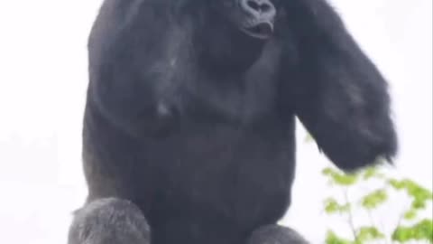 Patting myself on the back 🤣