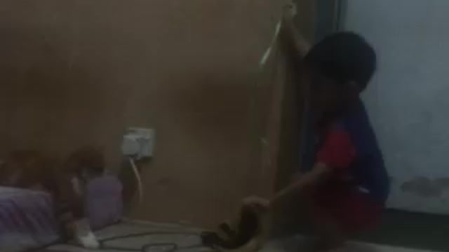 Little Boy Want To Play With Cat But SCARE! Funny!!