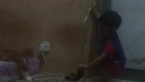 Little Boy Want To Play With Cat But SCARE! Funny!!