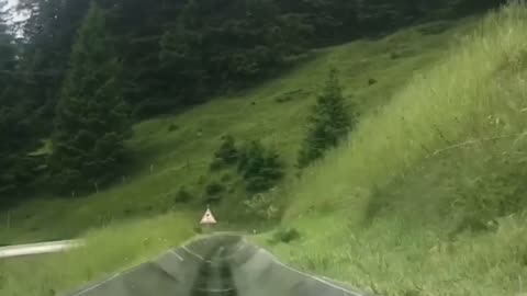 Alpine Slide In Switzerland