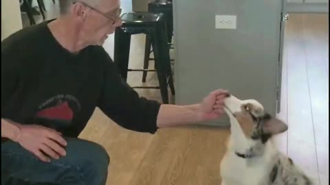 Baxter in the beginning
