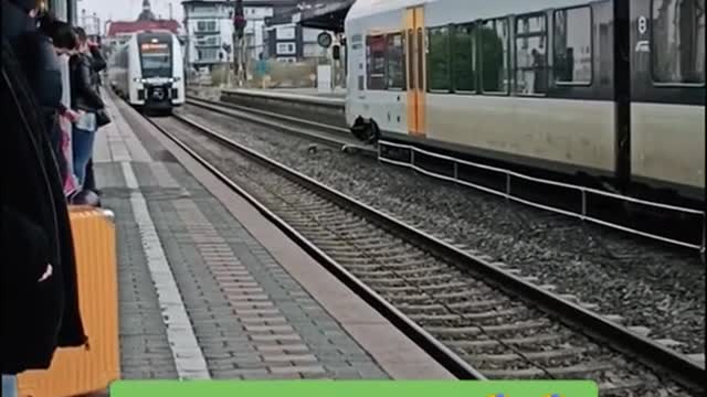 Baby Sark Song by German Train