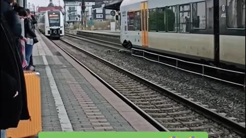 Baby Sark Song by German Train