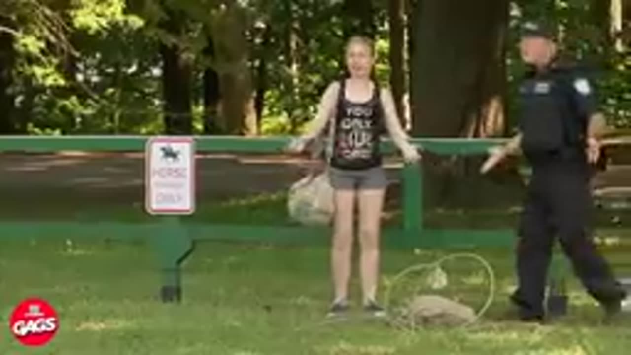 Sorry, NOT SORRY! - EPIC BIRD FAILS 🦩🤣 Funny Animal Fails Of The Week | funplays 2022 !