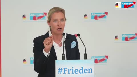 Alice Weidel erklärte das aktuelle Problem