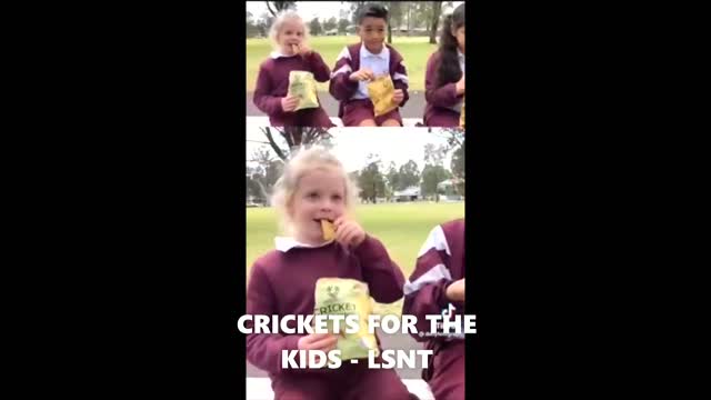 CRICKETS FOR THE CHILDREN! THE NEW CRISPS