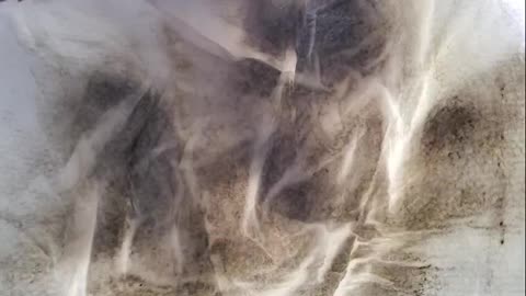 #1 Tip Homemade Window Glass Cleaner Demo DIY Shine Streak Free