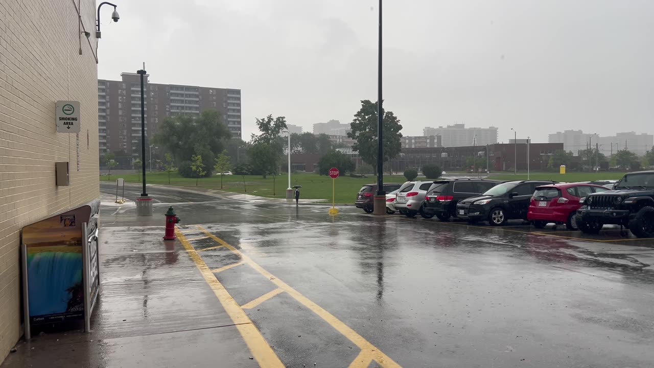 Raining cats and dogs in Toronto for second day