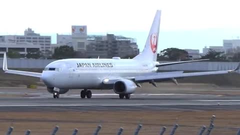 A JAL 737 battling crosswinds