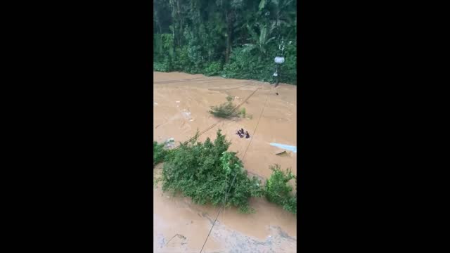 Vídeo mostra pessoas tentando se salvar em ônibus arrastados no temporal em Petrópolis