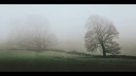 Lord Winter - Fog