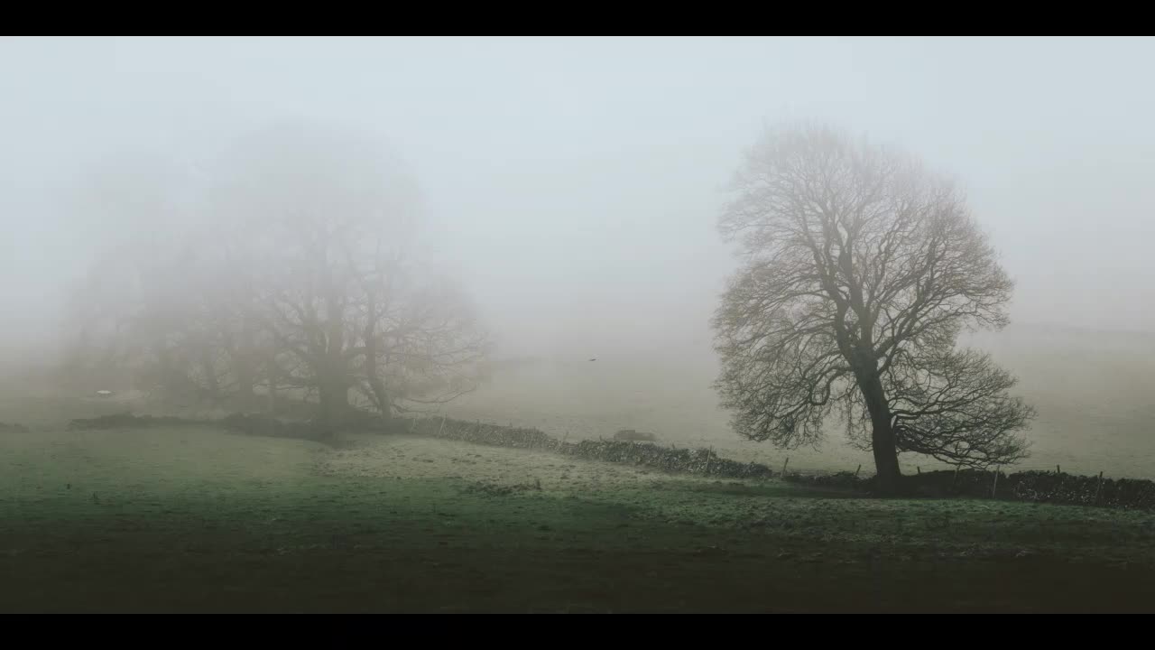 Lord Winter - Fog