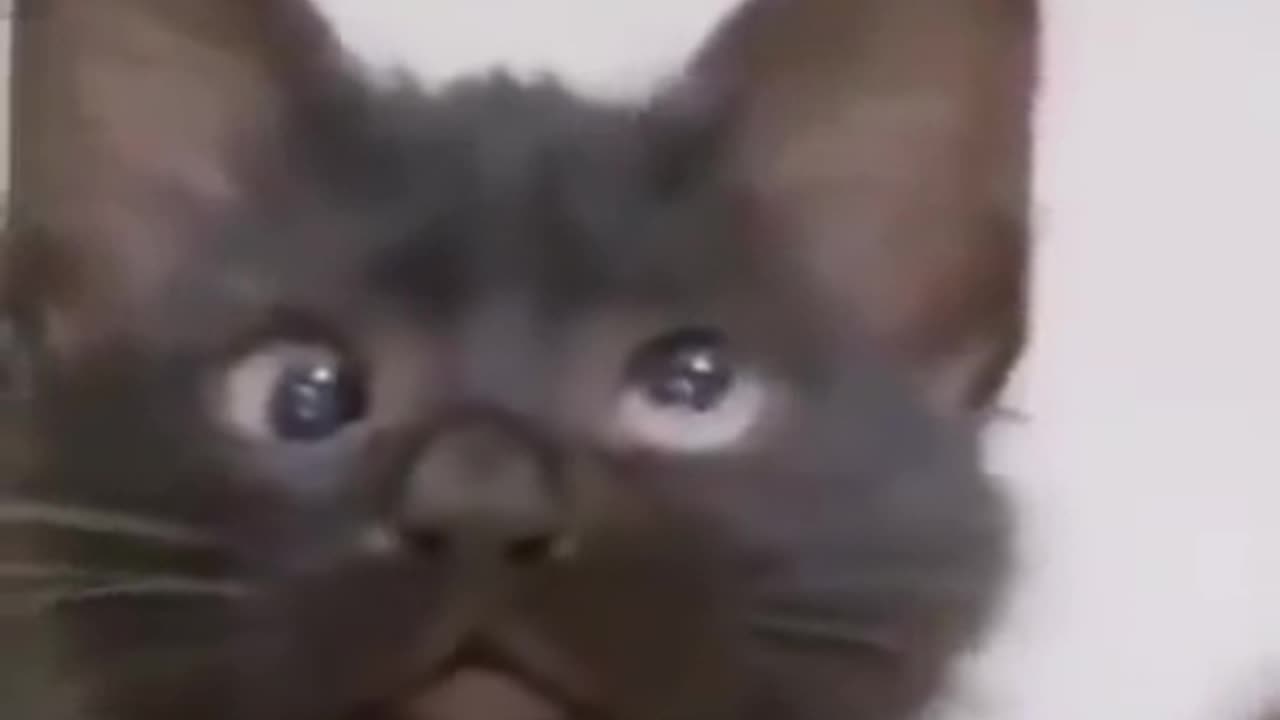Selective Hearing