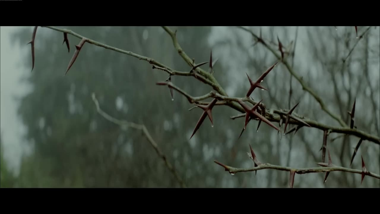 Safe & Sound feat. The Civil Wars (The Hunger Games_ Songs From District 12 And Beyond)