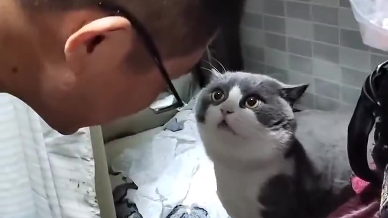 What's he saying? 😂