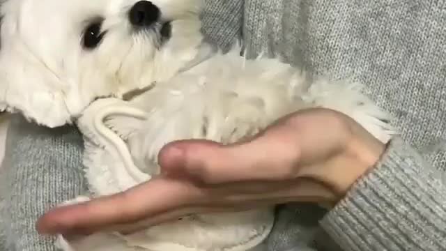 High five