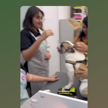 Maloka gives his dog to strangers to resolve matters on the spot - PRANK