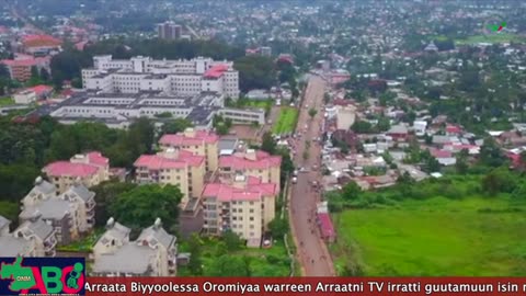 Oduu Waaree ONM-ABO Onkololessa 16-2024 itti dhiyaadhaa!